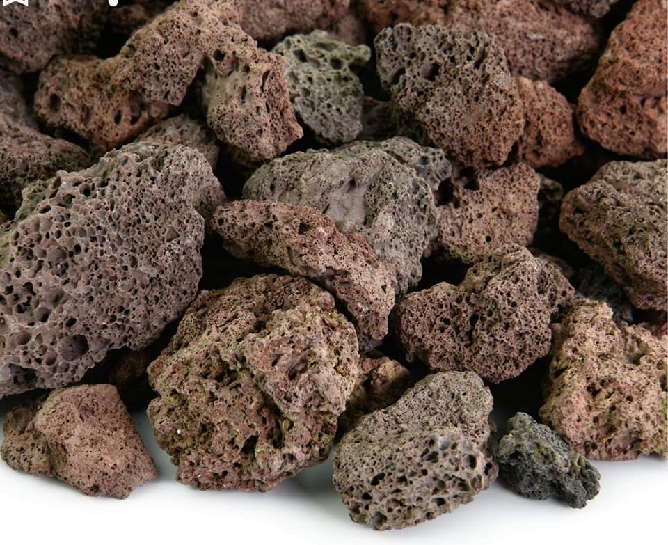فارغ