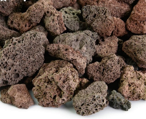فارغ